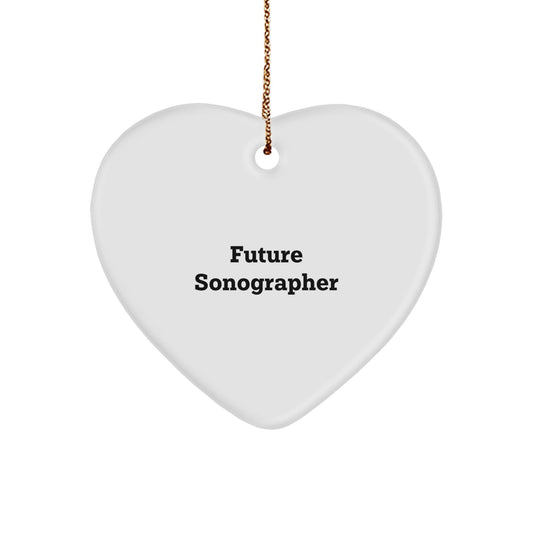 Funny Sonographer Gifts from Friends for Christmas Unique Heart Ornament - 'Future Sonographer' - The Buy Boom