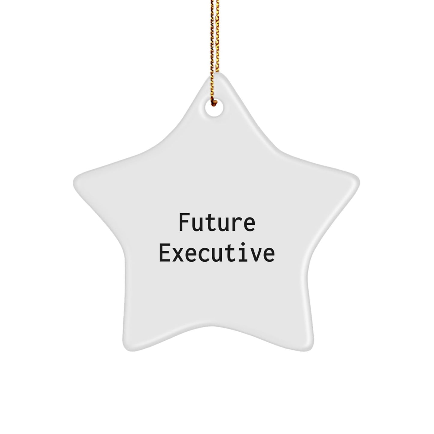 Funny Star Ornament Gifts for Future Executives, Gifts from Friends to Executive Men, Christmas Unique Gifts - The Buy Boom