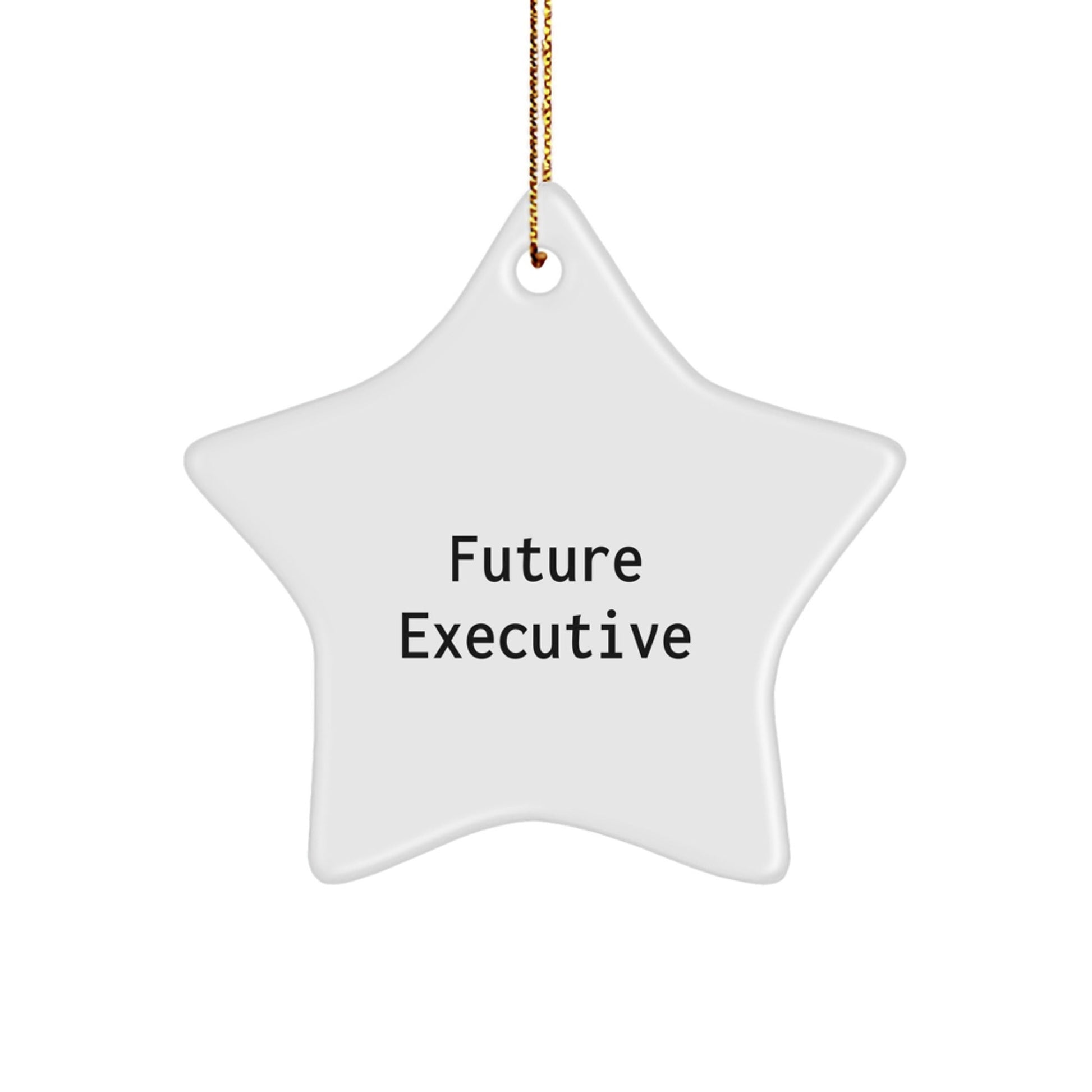 Funny Star Ornament Gifts for Future Executives, Gifts from Friends to Executive Men, Christmas Unique Gifts - The Buy Boom