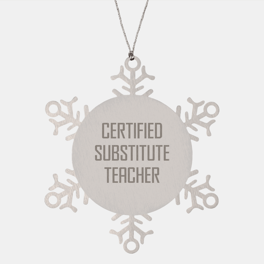 Funny Substitute Teacher Gifts from Friends for Christmas Snowflake Ornament - The Buy Boom