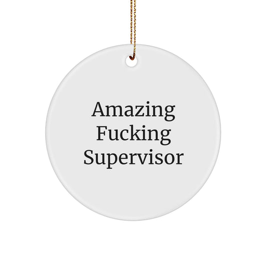 Funny Supervisor Gifts from Friends, Circle Ornament for Christmas with Amazing Quote, Gifts for Supervisor - The Buy Boom
