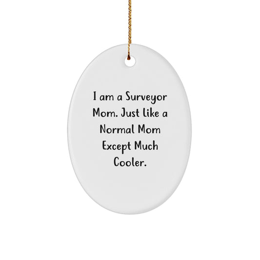Funny Surveyor Gifts from Friends - Unique Oval Ornament for Surveyor Mom, Christmas Decorations for Surveyor Women - The Buy Boom