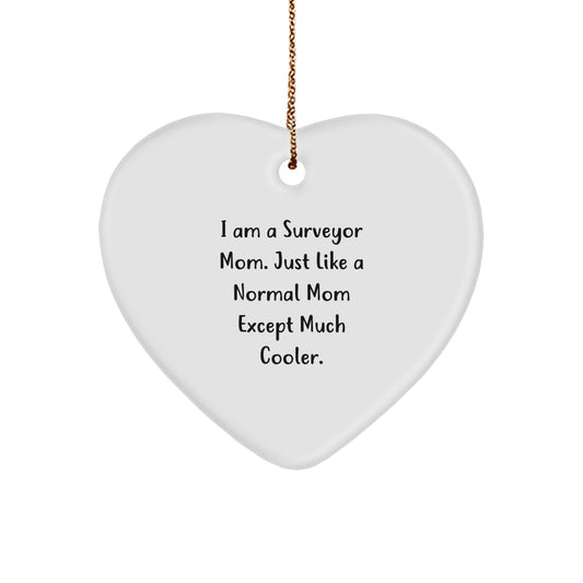 Funny Surveyor Mom Heart Ornament Gifts from Family for Surveyor Men Women Friends Christmas Unique Gifts - The Buy Boom