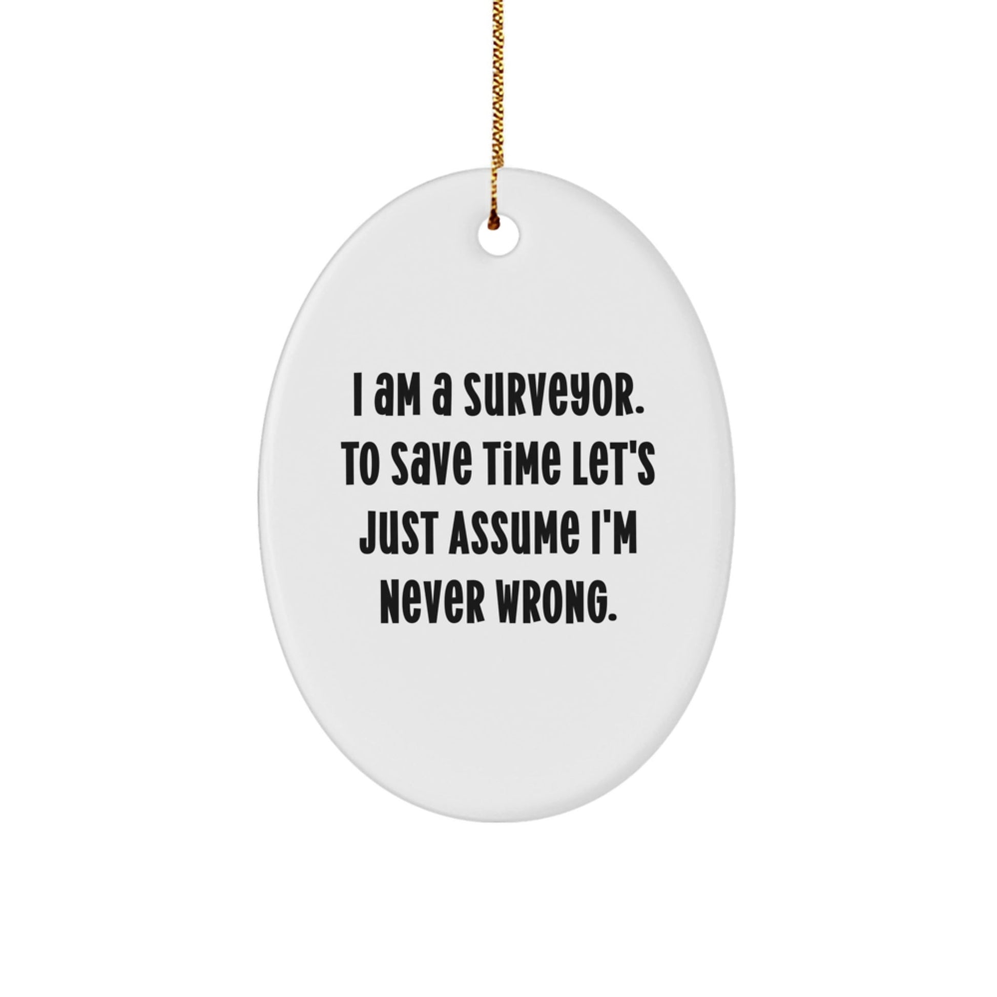 Funny Surveyor Oval Ornament Gifts from Friends to Surveyor, Christmas Unique Gifts, Oval Shaped Ornament - The Buy Boom