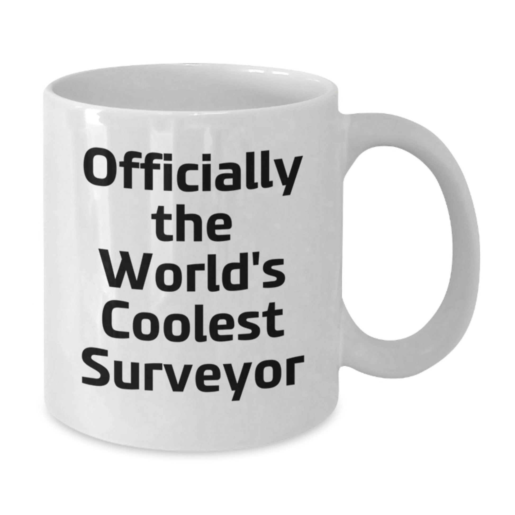 Funny Surveyor White Coffee Mug Gifts from Friends and Family for Surveyor Men on Christmas Unique Mornings - The Buy Boom