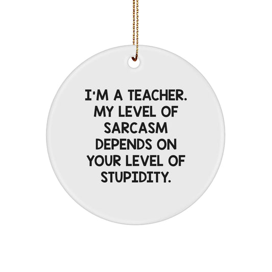 Funny Teacher Gifts from Family - Christmas Unique Gifts for Teacher Men Women Friends Coworkers - The Buy Boom