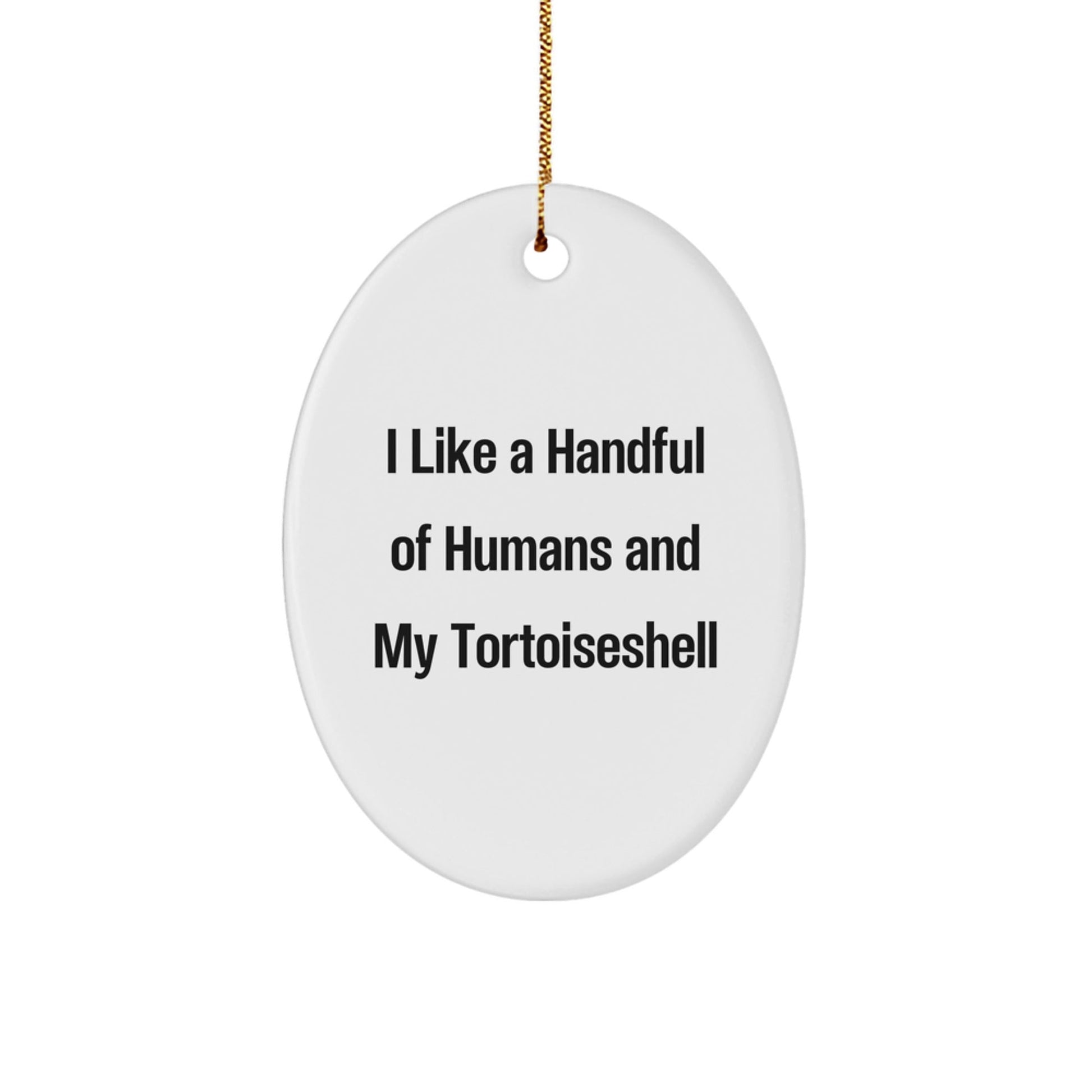 Funny Tortoiseshell Cat Lover Gifts from Friends to Family - Oval Ornament with Vibrant Colors - The Buy Boom