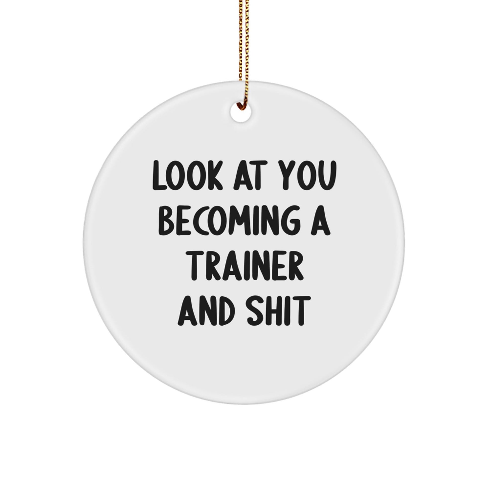 Funny Trainer Circle Ornament Gifts from Friends for Christmas, Look At You Becoming A Trainer And Shit, Trainer Enthusiast Decorations - The Buy Boom