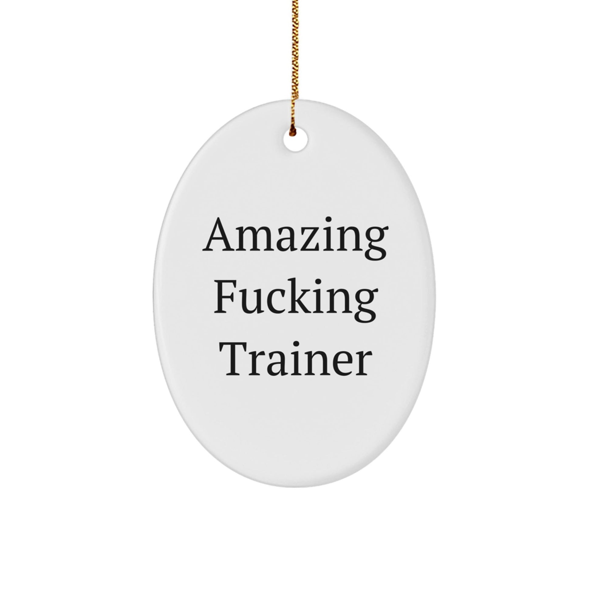 Funny Trainer Gifts for Men Christmas Oval Ornament, Gifts from Friends for the Amazing 'F - king Trainer' Enthusiast, Trainer Oval Decoration, Oval Ornament for Christmas, Trainer Lover Gift - The Buy Boom