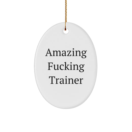 Funny Trainer Gifts for Men Christmas Oval Ornament, Gifts from Friends for the Amazing 'F - king Trainer' Enthusiast, Trainer Oval Decoration, Oval Ornament for Christmas, Trainer Lover Gift - The Buy Boom