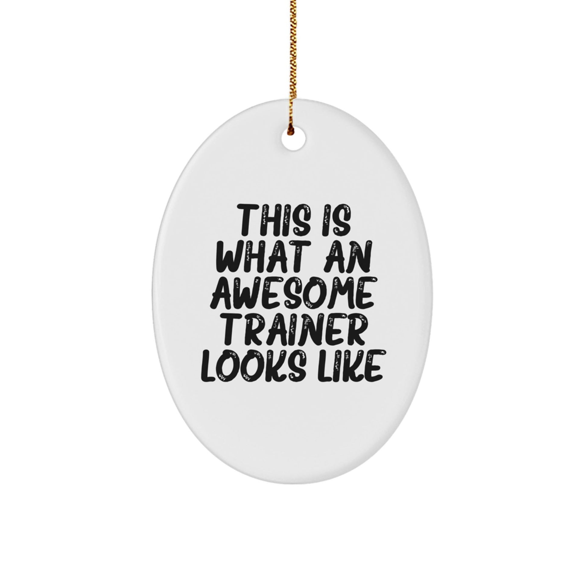 Funny Trainer Gifts from Friends for Awesome Trainers - Oval Ornament 'This Is What An Awesome Trainer Looks Like' - Christmas Unique Gifts - The Buy Boom
