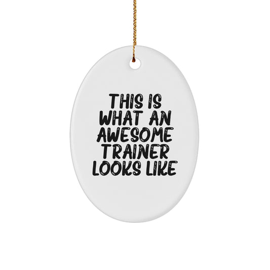 Funny Trainer Gifts from Friends for Awesome Trainers - Oval Ornament 'This Is What An Awesome Trainer Looks Like' - Christmas Unique Gifts - The Buy Boom