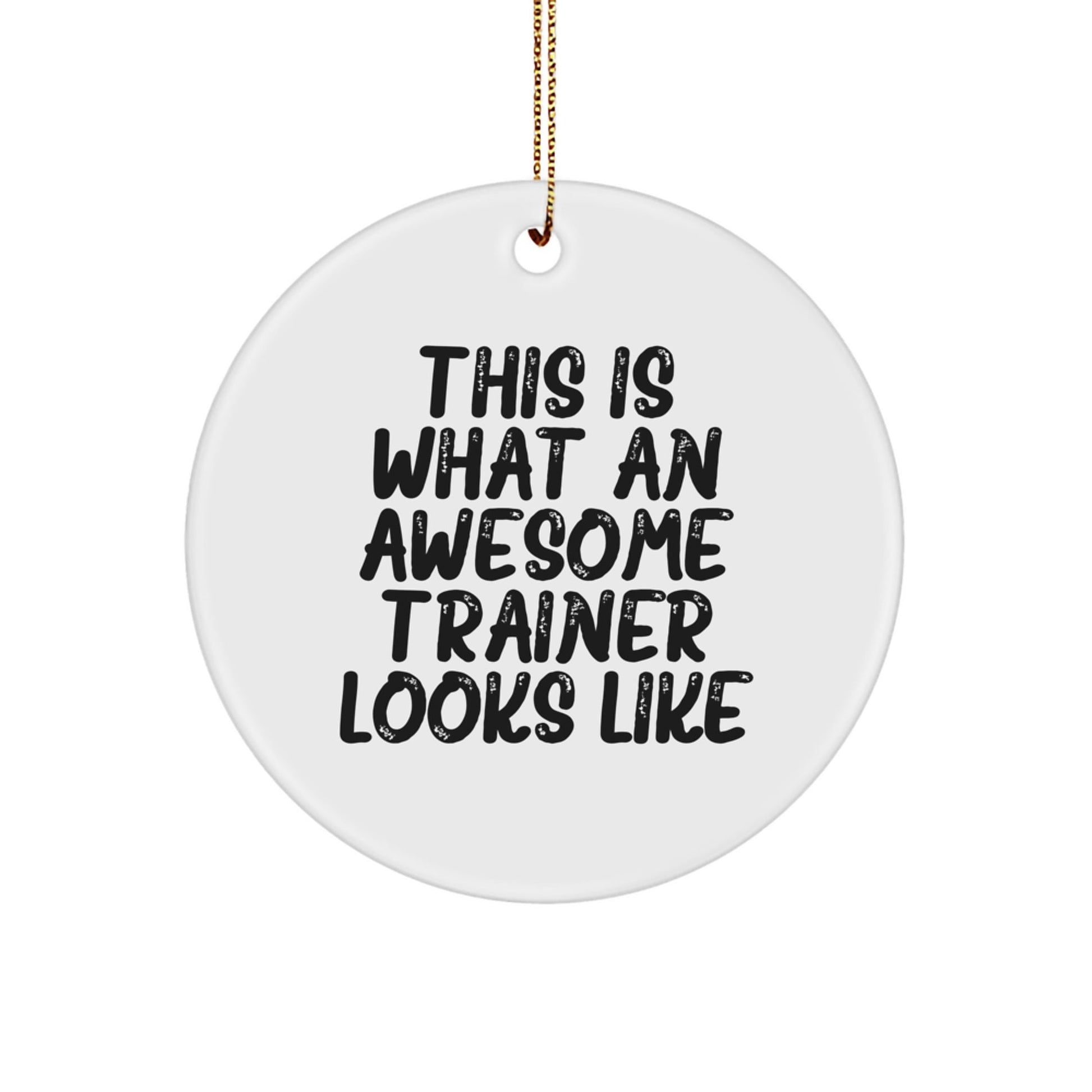 Funny Trainer Gifts from Friends: 'This Is What An Awesome Trainer Looks Like' Circle Ornament for Christmas - The Buy Boom