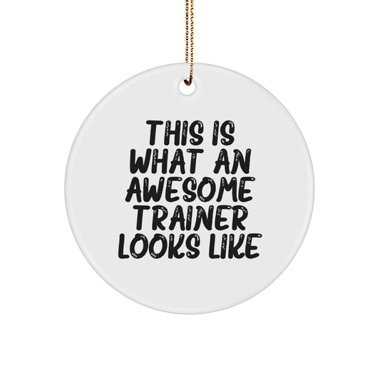 Funny Trainer Gifts from Friends: 'This Is What An Awesome Trainer Looks Like' Circle Ornament for Christmas - The Buy Boom
