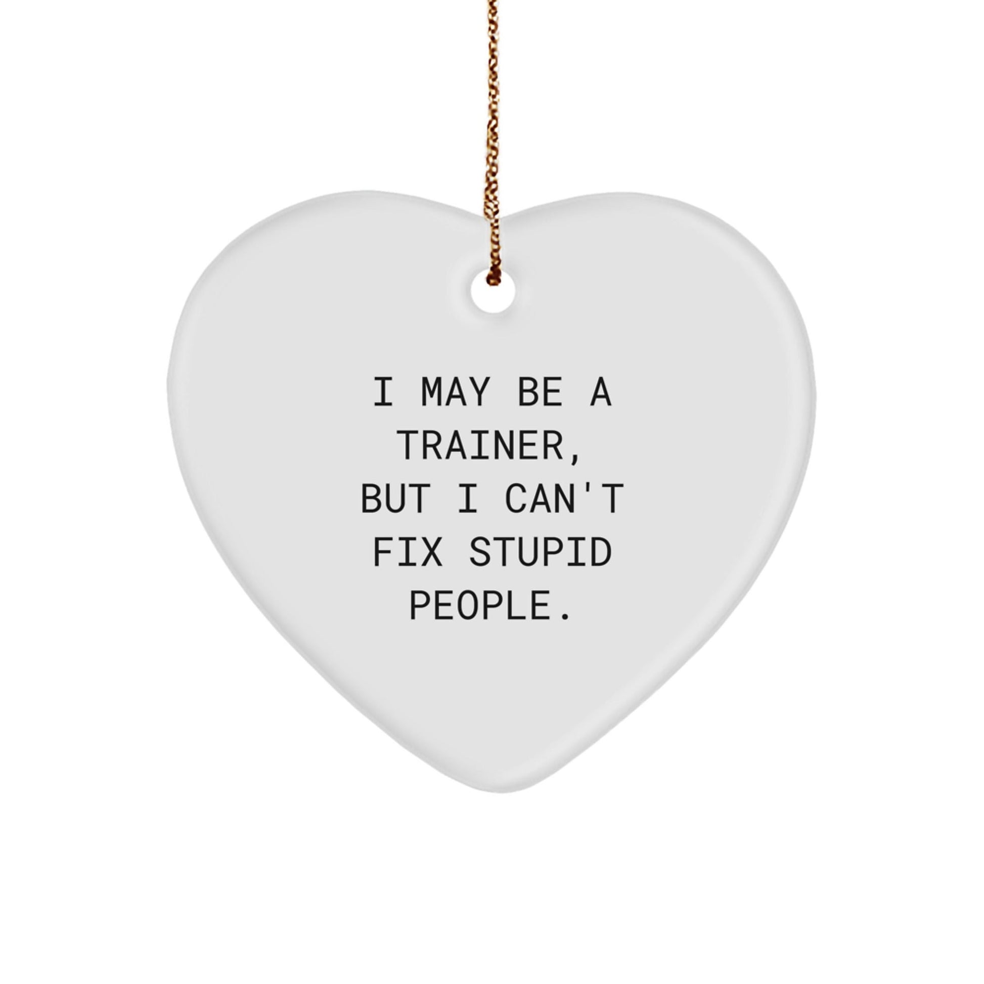 Funny Trainer Gifts from Friends to Men - Trainer Heart Ornament I May Be A Trainer, But I Can't Fix Stupid People. - Unique Christmas Unique Gifts for Trainers - The Buy Boom