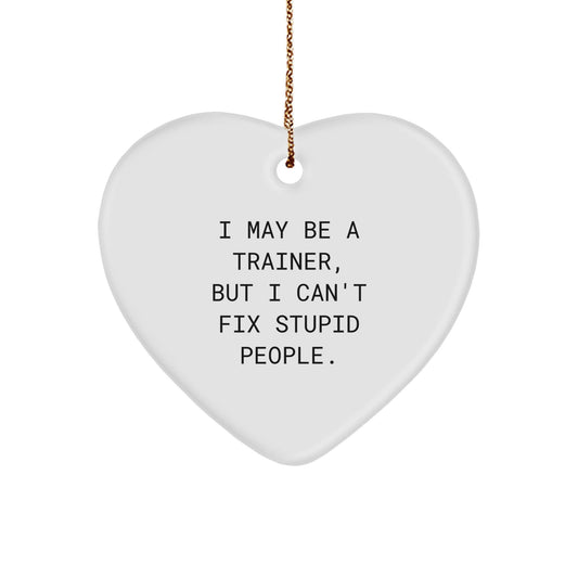 Funny Trainer Gifts from Friends to Men - Trainer Heart Ornament I May Be A Trainer, But I Can't Fix Stupid People. - Unique Christmas Unique Gifts for Trainers - The Buy Boom