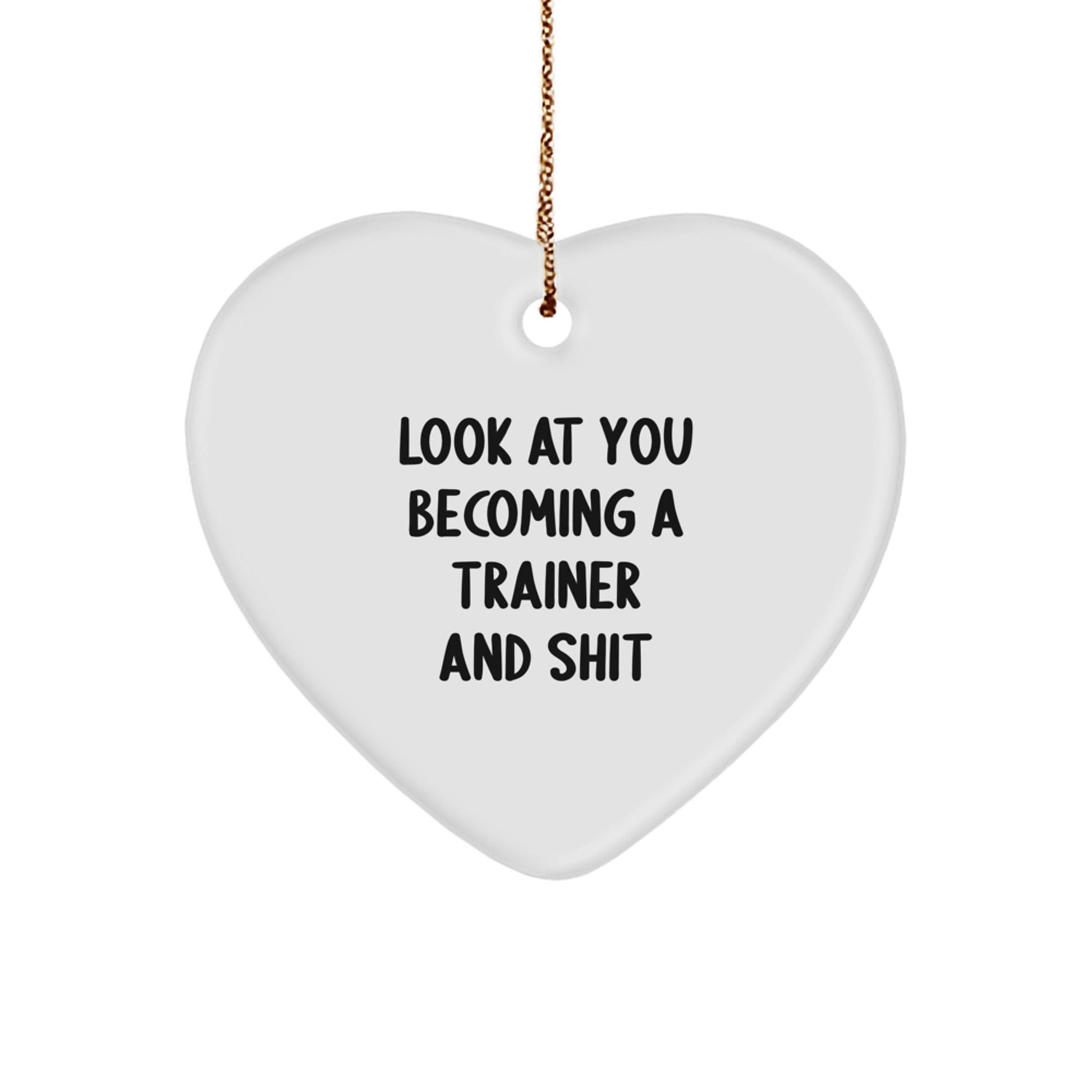 Funny Trainer Gifts from Men, Christmas Unique Heart Ornaments for Trainer Friends, Inspirational Look At You Becoming A Trainer - The Buy Boom
