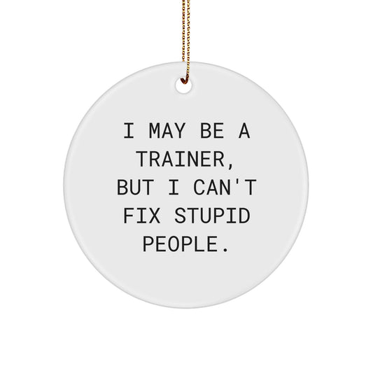 Funny Trainer Quote Circle Ornament, Gifts from Men to Trainer Friends, Unique Christmas Unique Gifts for Trainer, I May Be A Trainer, But I Can't Fix Stupid People. - The Buy Boom