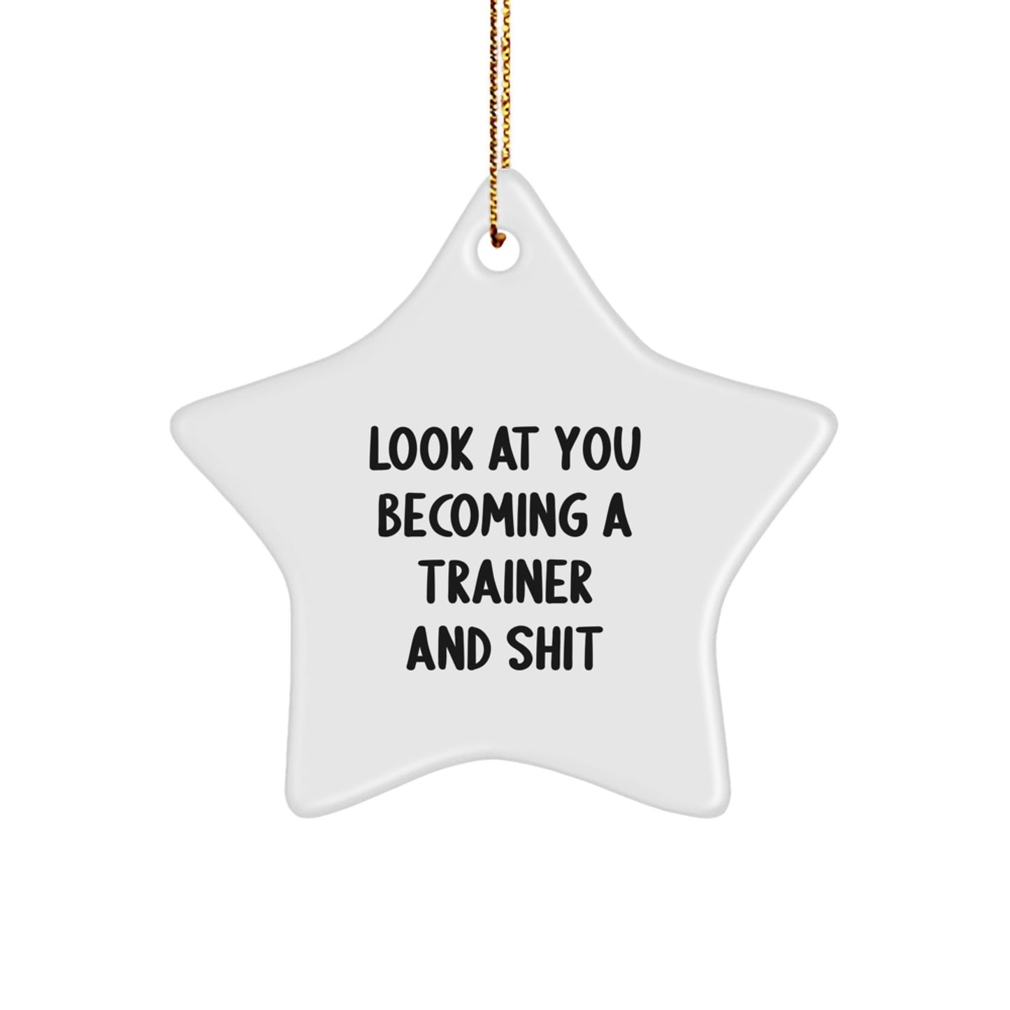 Funny Trainer Star Ornament Gifts from Friends for Christmas Unique Trainer Inspiration - The Buy Boom