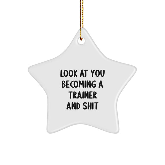 Funny Trainer Star Ornament Gifts from Friends for Christmas Unique Trainer Inspiration - The Buy Boom