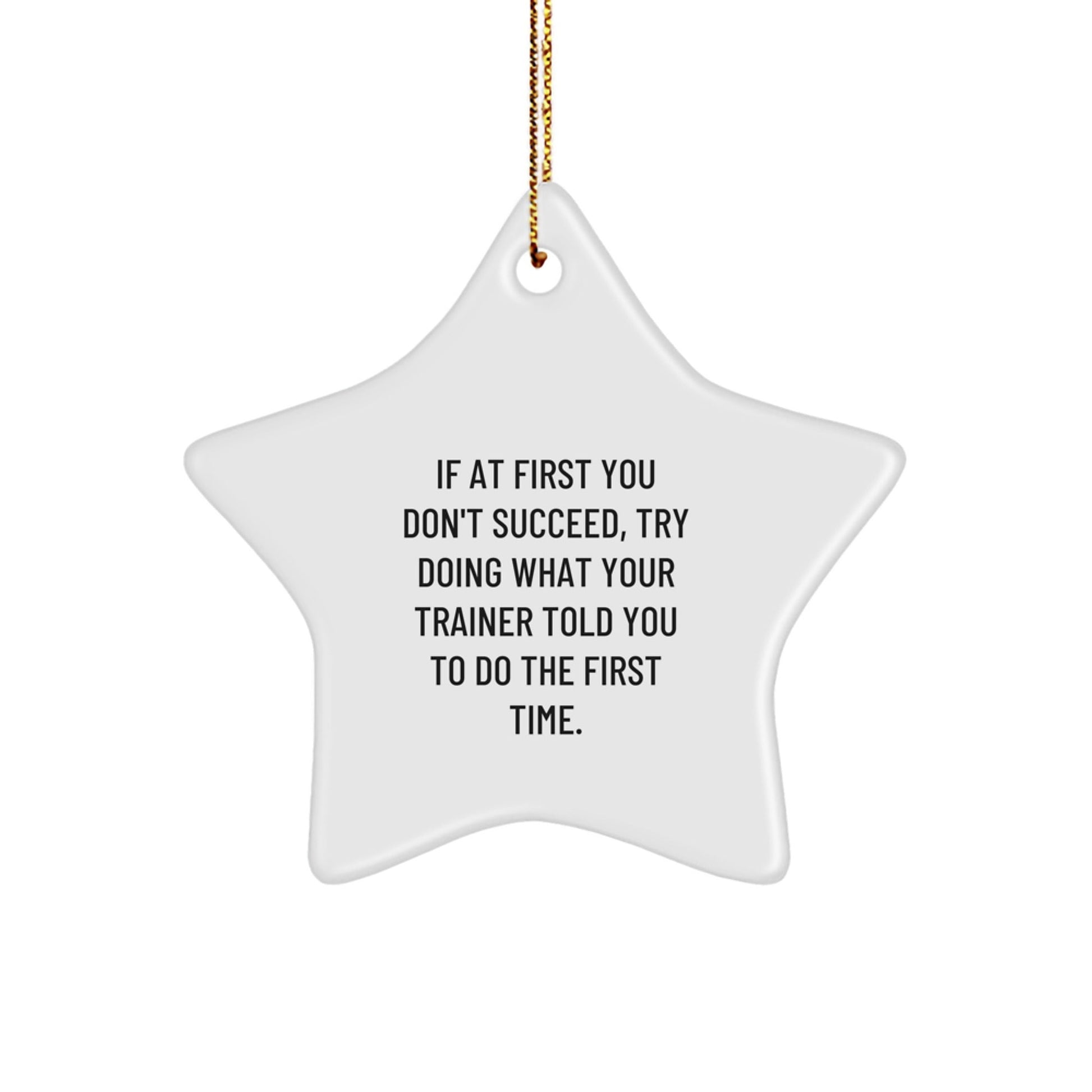 Funny Trainer Star Ornament Gifts from Men to Friends, Trainer Motivation Decorations for Christmas Unique Gifts - The Buy Boom