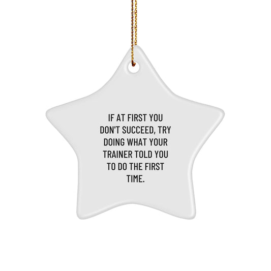 Funny Trainer Star Ornament Gifts from Men to Friends, Trainer Motivation Decorations for Christmas Unique Gifts - The Buy Boom