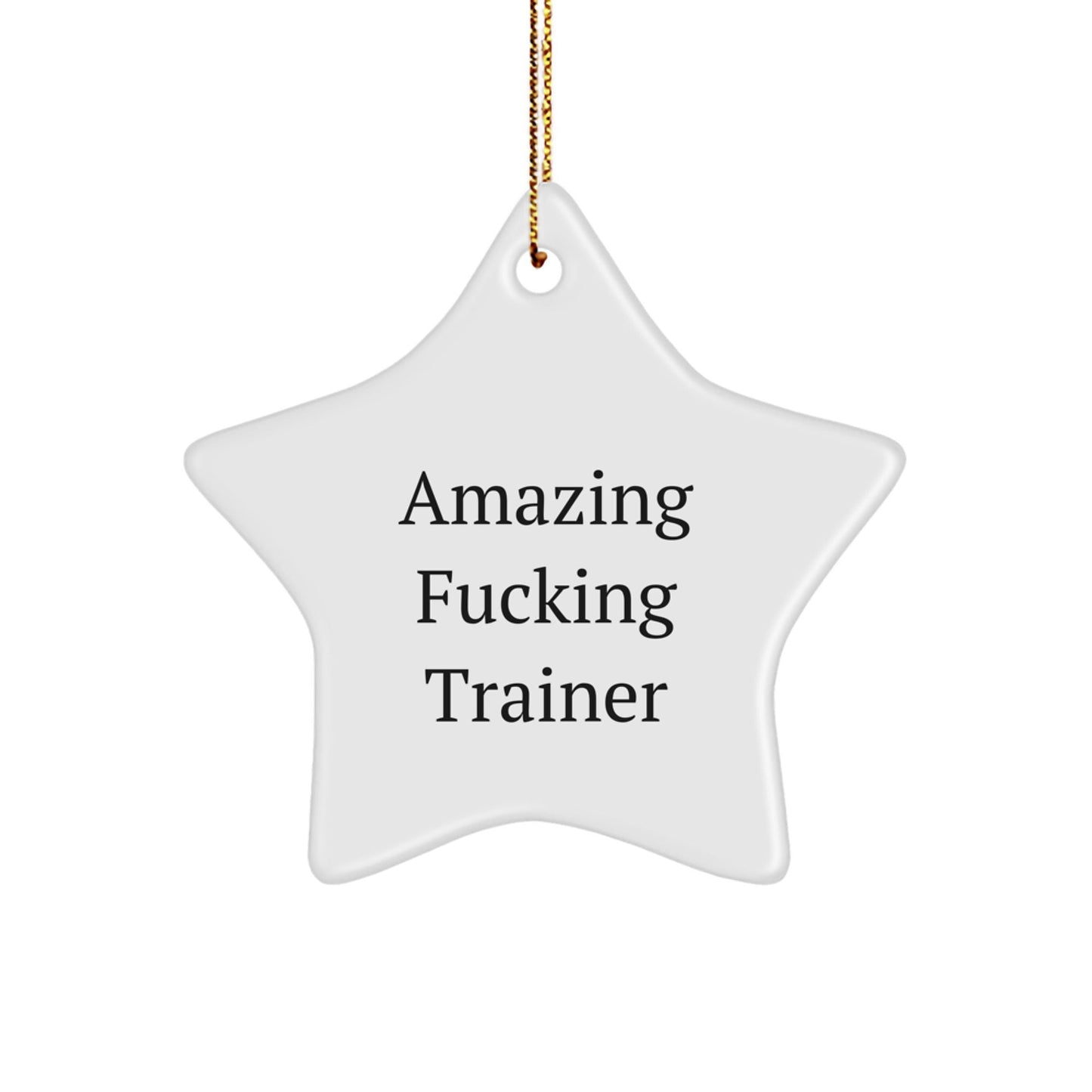 Funny Trainer Star Ornament, Gifts from Men to Women Trainer Friends, Christmas Unique Decorations, Amazing F - king Trainer Quotes - The Buy Boom