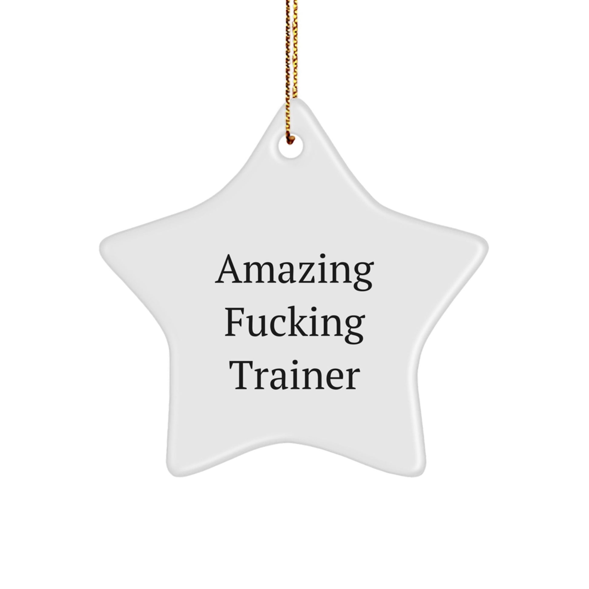 Funny Trainer Star Ornament, Gifts from Men to Women Trainer Friends, Christmas Unique Decorations, Amazing F - king Trainer Quotes - The Buy Boom
