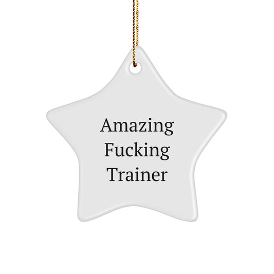 Funny Trainer Star Ornament, Gifts from Men to Women Trainer Friends, Christmas Unique Decorations, Amazing F - king Trainer Quotes - The Buy Boom