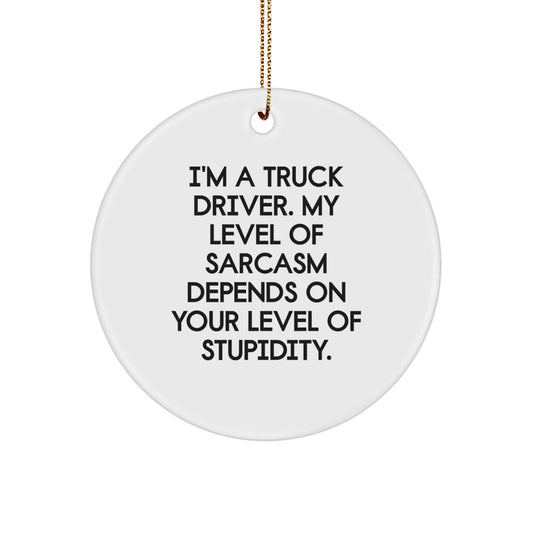 Funny Truck Driver Gifts for Men, 'I'm A Truck Driver. My Level Of Sarcasm Depends On Your Level Of Stupidity.' Circle Ornament, White Color, Christmas Unique Gifts from Friends - The Buy Boom