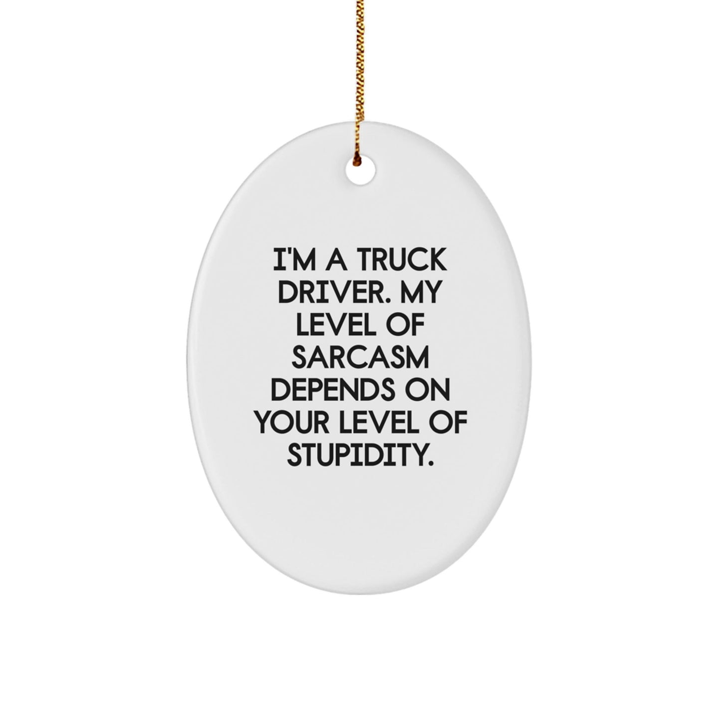 Funny Truck Driver Gifts from Friends - Oval Ornament for Men, Truck Driver Christmas Unique Gifts, I'm A Truck Driver Sarcasm Level Depends On Your Stupidity, Oval Shaped Decor - The Buy Boom