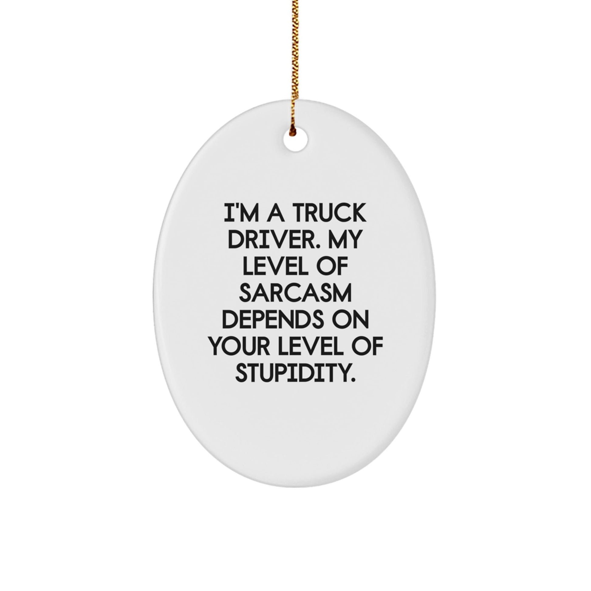 Funny Truck Driver Gifts from Friends - Oval Ornament for Men, Truck Driver Christmas Unique Gifts, I'm A Truck Driver Sarcasm Level Depends On Your Stupidity, Oval Shaped Decor - The Buy Boom