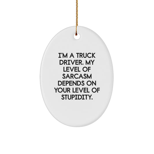 Funny Truck Driver Gifts from Friends - Oval Ornament for Men, Truck Driver Christmas Unique Gifts, I'm A Truck Driver Sarcasm Level Depends On Your Stupidity, Oval Shaped Decor - The Buy Boom