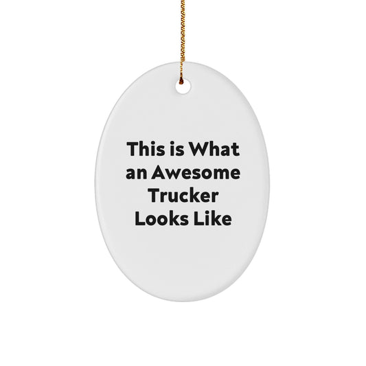 Funny Trucker Gifts from Friends, Oval Ornament for Trucker, This Is What An Awesome Trucker Looks Like, Christmas Unique Gifts for Him - The Buy Boom