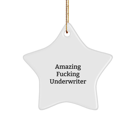 Funny Underwriter Gifts - Amazing Star Ornament with Quote - White Star Shaped - Gifts from Men to Underwriters for Christmas - The Buy Boom