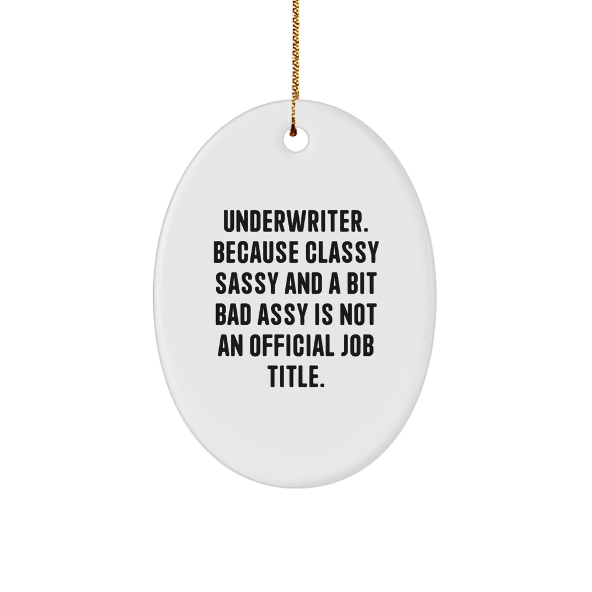 Funny Underwriter Gifts for Men Women Friends Family Oval Ornament Quote - Gifts from Friends and Family - Unique Christmas Decorations - The Buy Boom