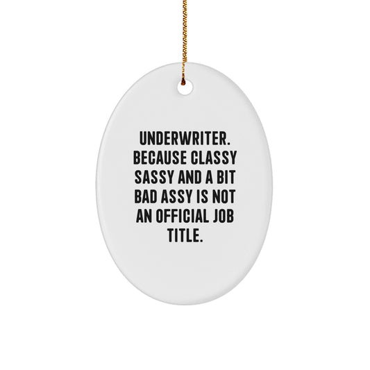 Funny Underwriter Gifts for Men Women Friends Family Oval Ornament Quote - Gifts from Friends and Family - Unique Christmas Decorations - The Buy Boom