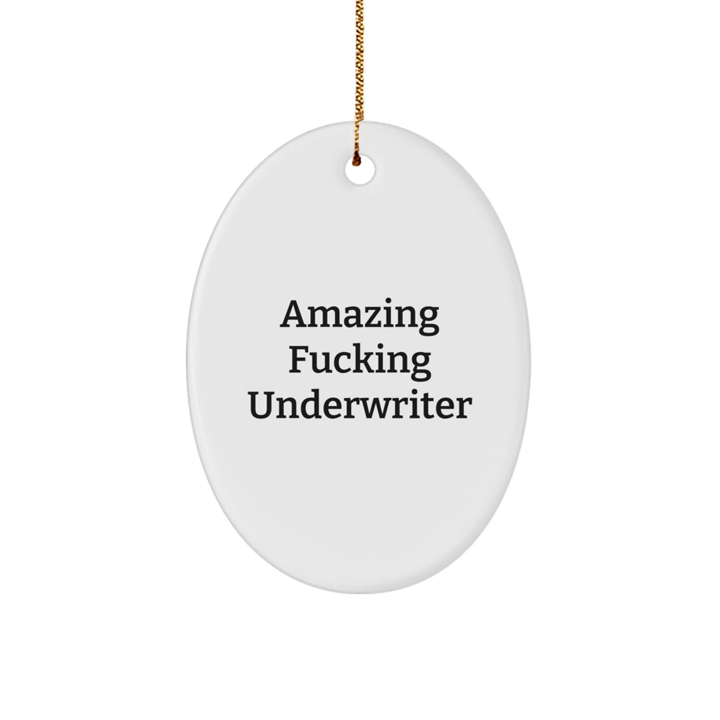 Funny Underwriter Gifts from Friends Christmas Oval Ornament Amazing Quote, Gifts for Underwriter - The Buy Boom