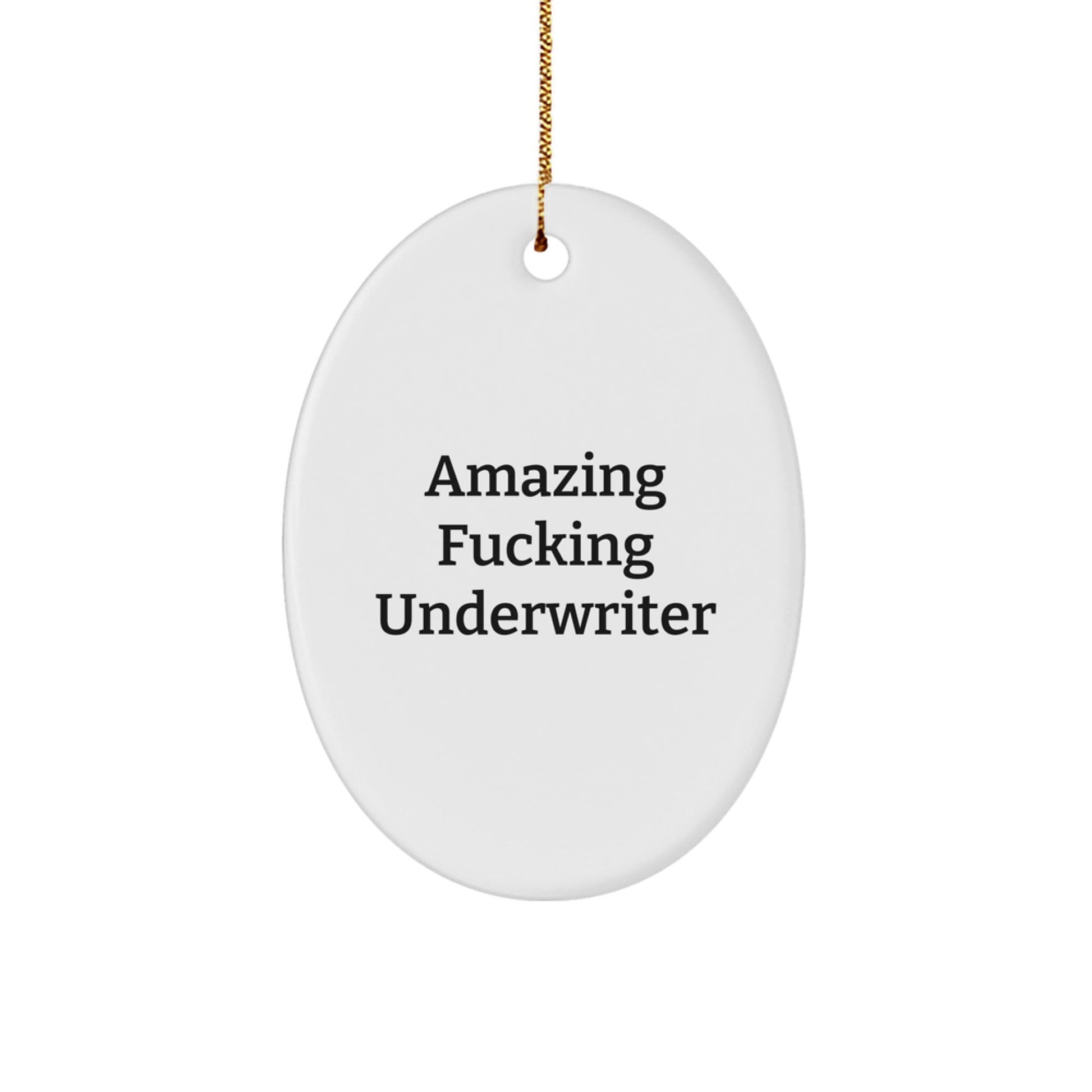Funny Underwriter Gifts from Friends Christmas Oval Ornament Amazing Quote, Gifts for Underwriter - The Buy Boom