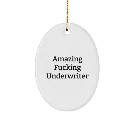 Funny Underwriter Gifts from Friends Christmas Oval Ornament Amazing Quote, Gifts for Underwriter - The Buy Boom