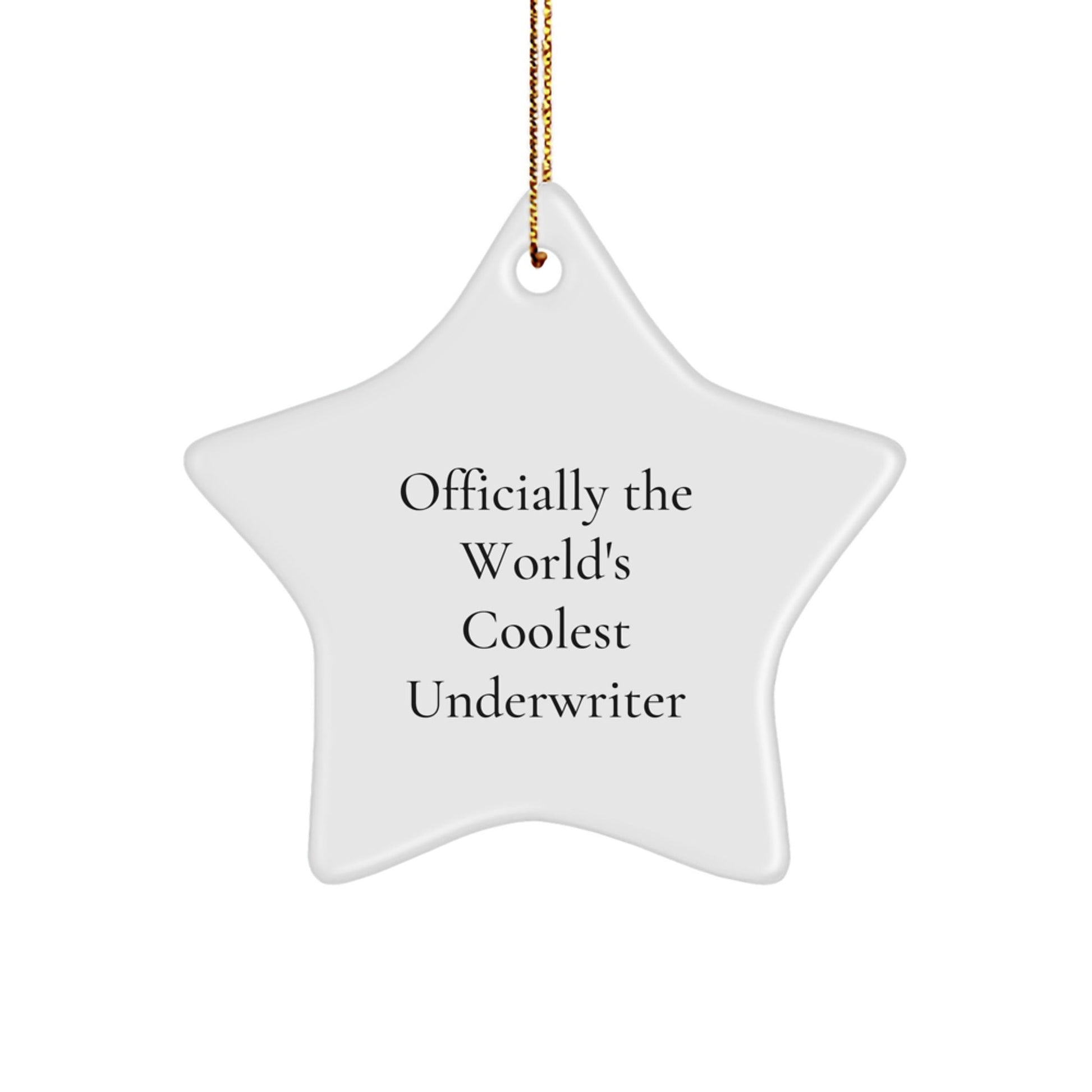 Funny Underwriter Gifts from Friends or Family - Officially The World's Coolest Underwriter Star Ornament for Christmas - The Buy Boom