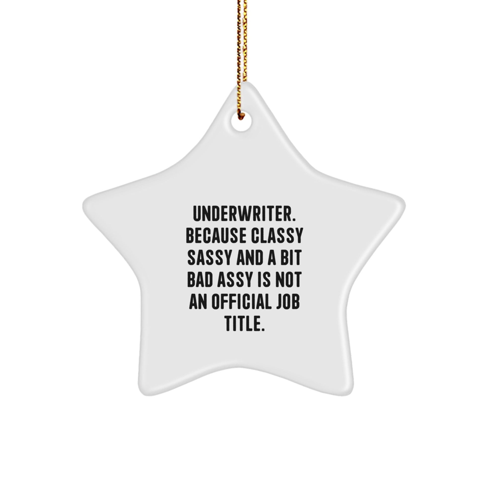 Funny Underwriter Gifts from Friends, Unique Star Ornament for Underwriter, Christmas Decorative Star - The Buy Boom