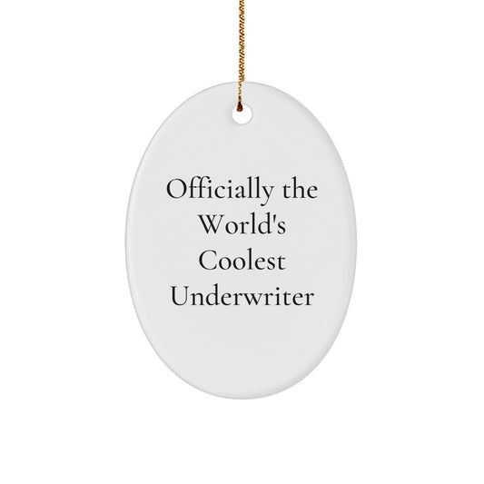 Funny Underwriter Gifts - Oval Ornament, Officially The World's Coolest Underwriter - Christmas Unique Gifts from Friends to Underwriter - The Buy Boom