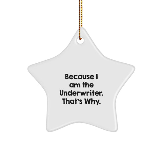 Funny Underwriter Star Ornament Gifts for Underwriter Christmas Unique Gifts from Friends - The Buy Boom