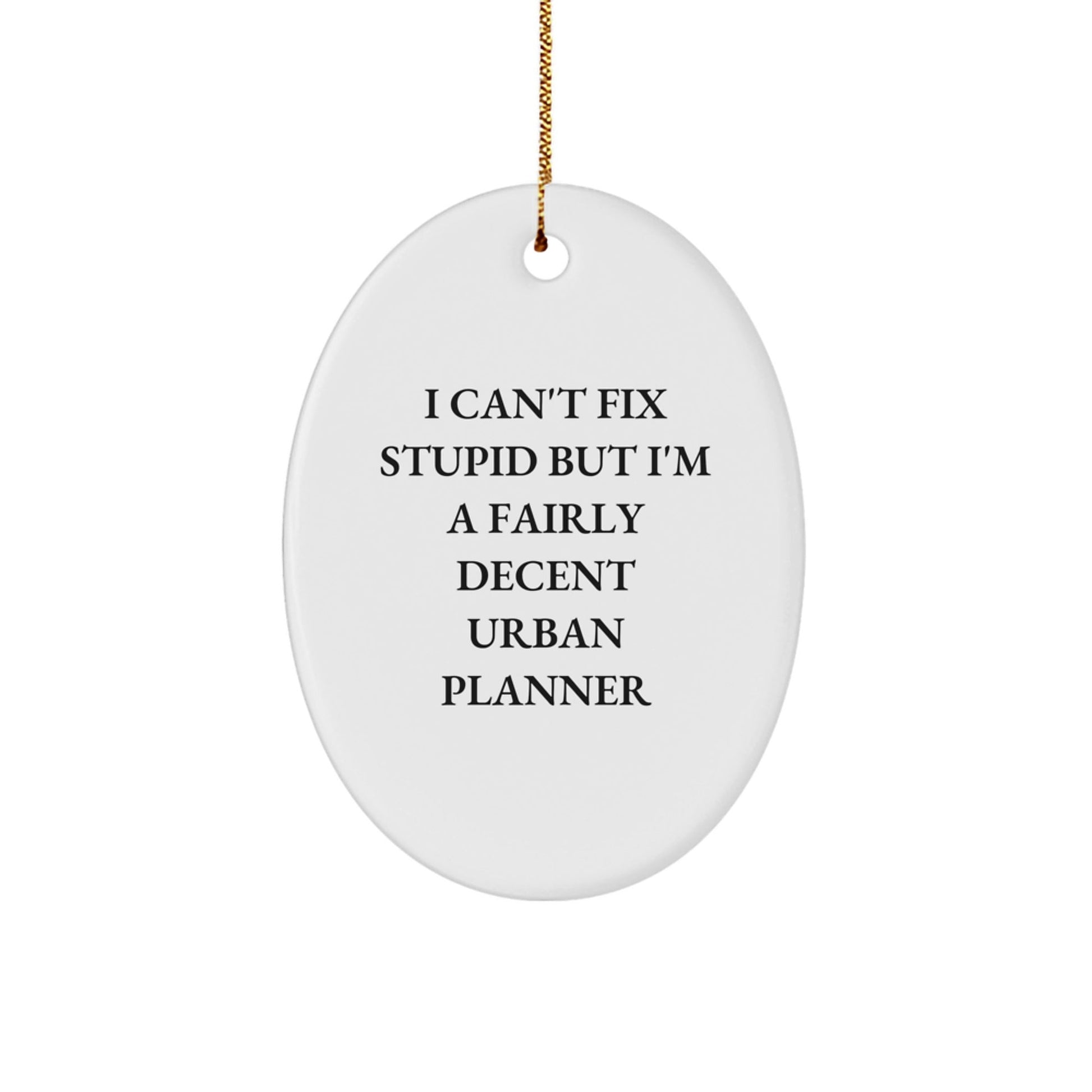 Funny Urban Planner Gifts for Men from Friends, Christmas Unique Decorations Oval Ornament, I Can't Fix Stupid But I'm A Fairly Decent Urban Planner - The Buy Boom