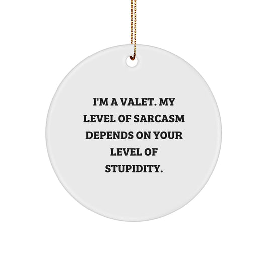 Funny Valet Gifts for the Sassy Valet, Valet Christmas Unique Ornaments, Circle Ornament - The Buy Boom
