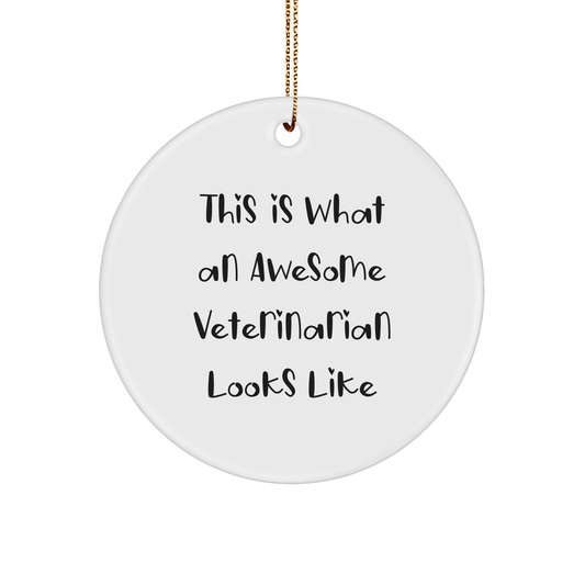 Funny Veterinarian Gifts from Friends - Circle Ornament with Quote 'This Is What An Awesome Veterinarian Looks Like' - Perfect Christmas Unique Gifts for Veterinarian Men or Women - The Buy Boom