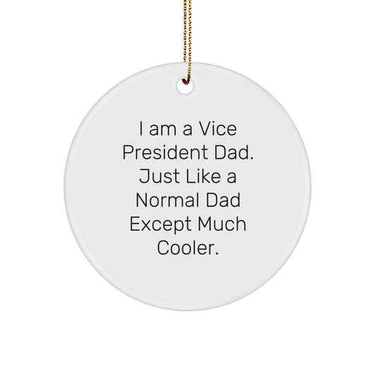 Funny Vice President Dad Circle Ornament Gifts from Men for Vice President Friends - The Buy Boom