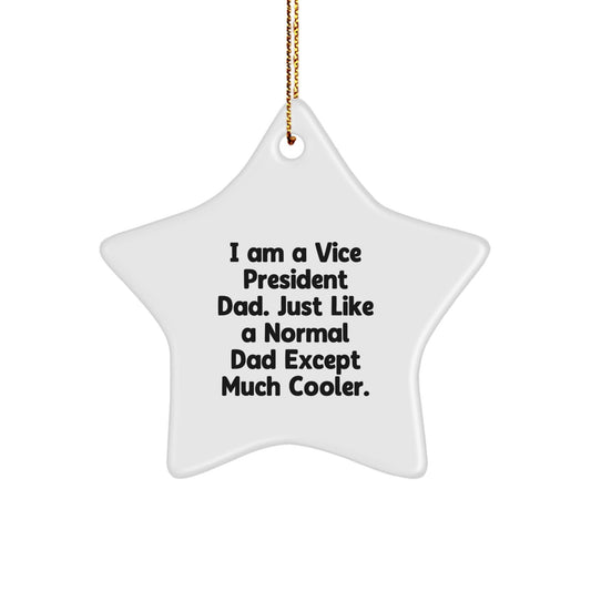 Funny Vice President Gifts from Dad - Star Ornament for Men - Unique Christmas Decorations for Vice President Dads - The Buy Boom
