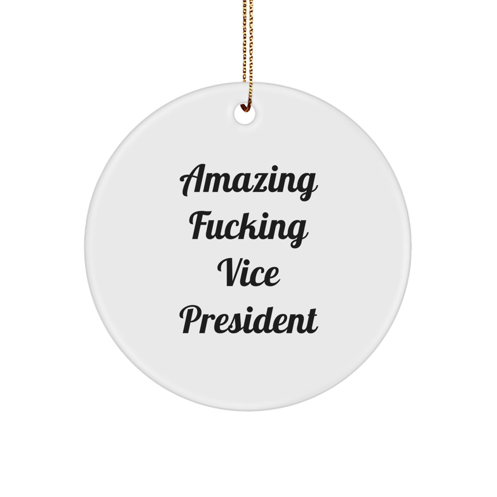 Funny Vice President Gifts from Friends, 'Amazing F - king Vice President' Circle Ornament for Christmas - The Buy Boom